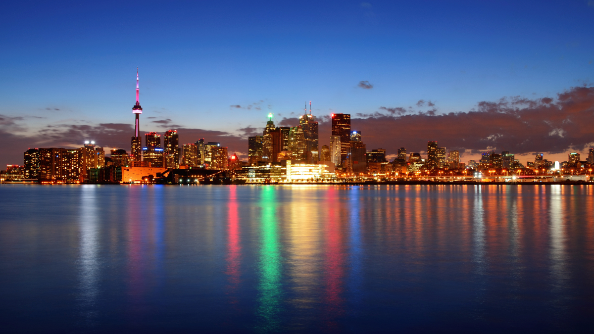 Auckland Night Viewing Tour